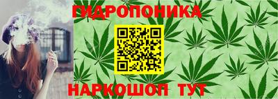 гидра Рузаевка