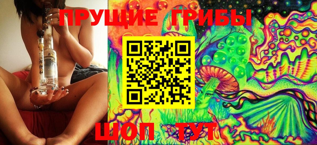 Сердобск  купить наркотики сайты  Галлюциногенные грибы ЛСД  Вход с VPN  Галлюциногенные грибы прущие грибы 