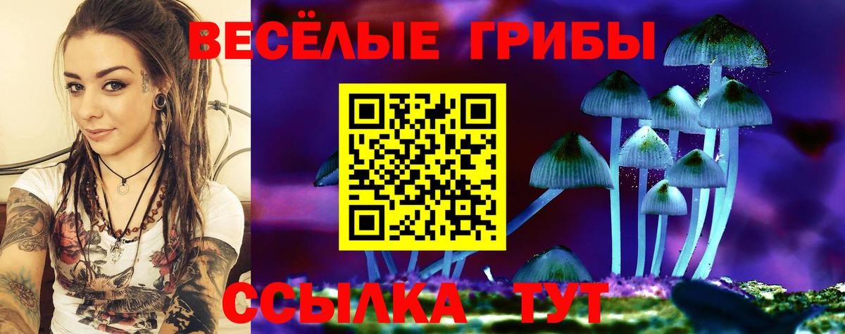 Галлюциногенные грибы Magic Shrooms Сердобск